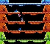 une photo d'Ã©cran de Ice Climber sur Nintendo Nes